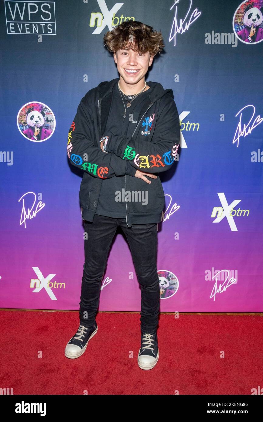 Sherman Oaks, California, USA. 12th Nov, 2022. Ashton Hero attends