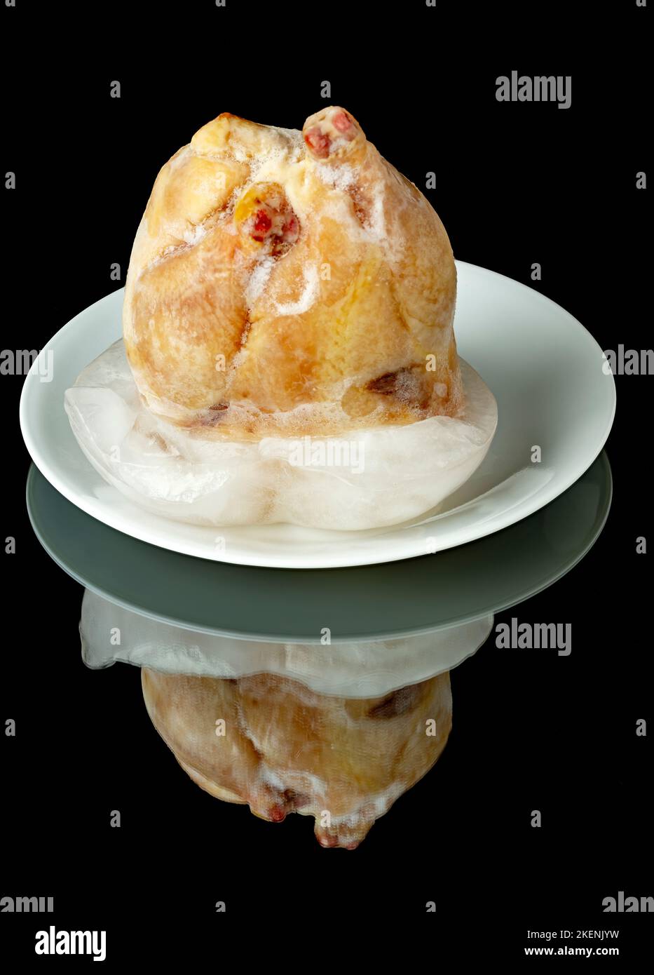 Block of ice attached to a small game hen that needs thawed Stock Photo