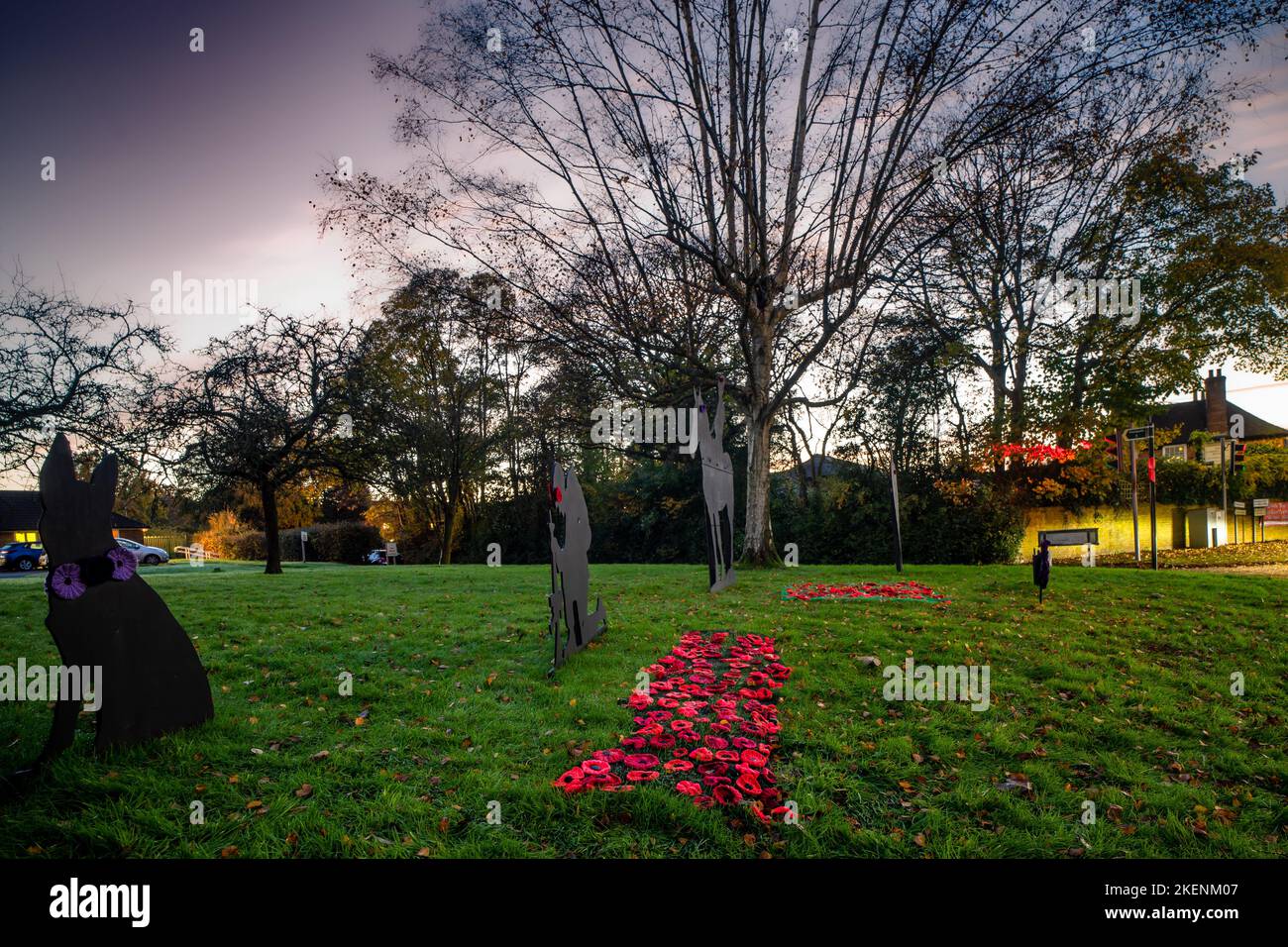 Pembury, Tunbridge Wells, Kent, England. 13 November 2022. Remembrance Day is marked by a collection of poppies and silhouettes of fallen soldiers on Pembury Village Green, shot at dusk  ©Sarah Mott / Alamy Live News. Stock Photo