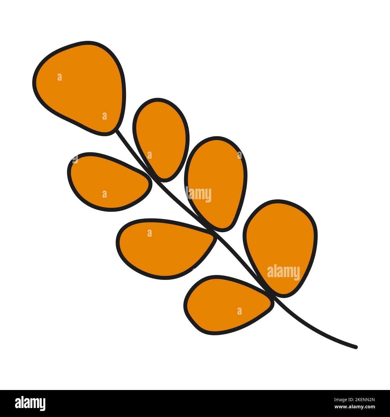 autumn leaf isolated Stock Vector Image & Art - Alamy