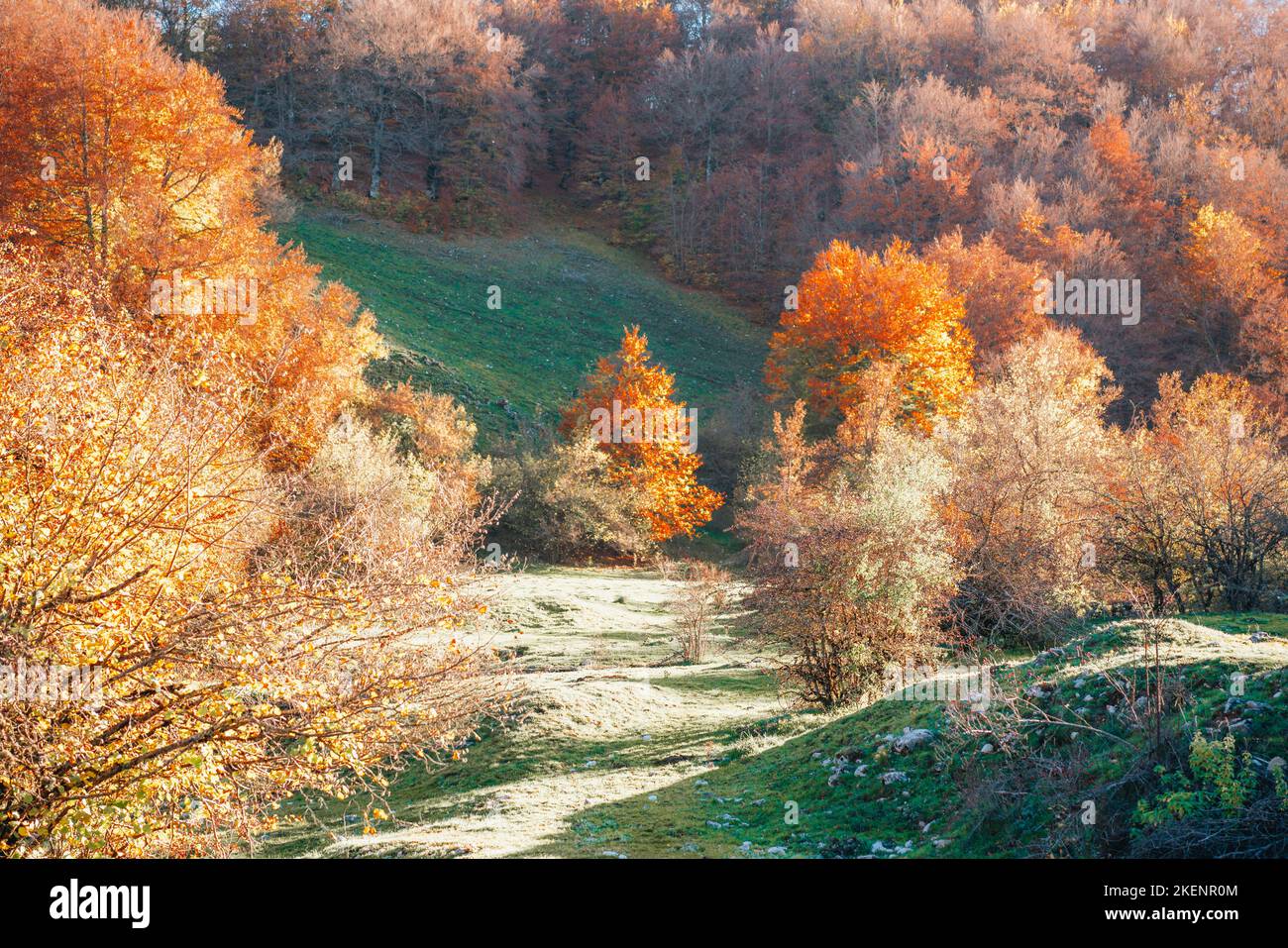 colorful autumn foliage Parco Nazionale Abruzzo Italy. Landscape Stock Photo