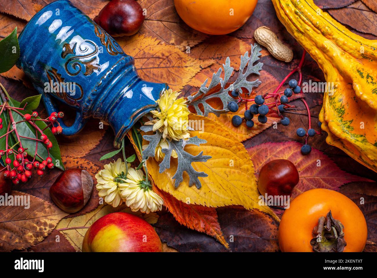 Background. Autumn Decoration Background with chrysanthenum, chestnut, pumpkin, Diospyros kaki, red and blue fruits berry, apple on leaves. Stock Photo
