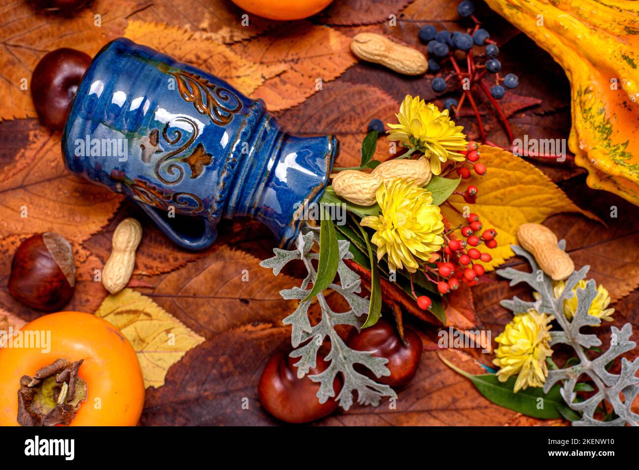 Background. Autumn Decoration Background with chrysanthenum, chestnut, pumpkin, Diospyros kaki, red and blue fruits berry, apple on leaves. Stock Photo