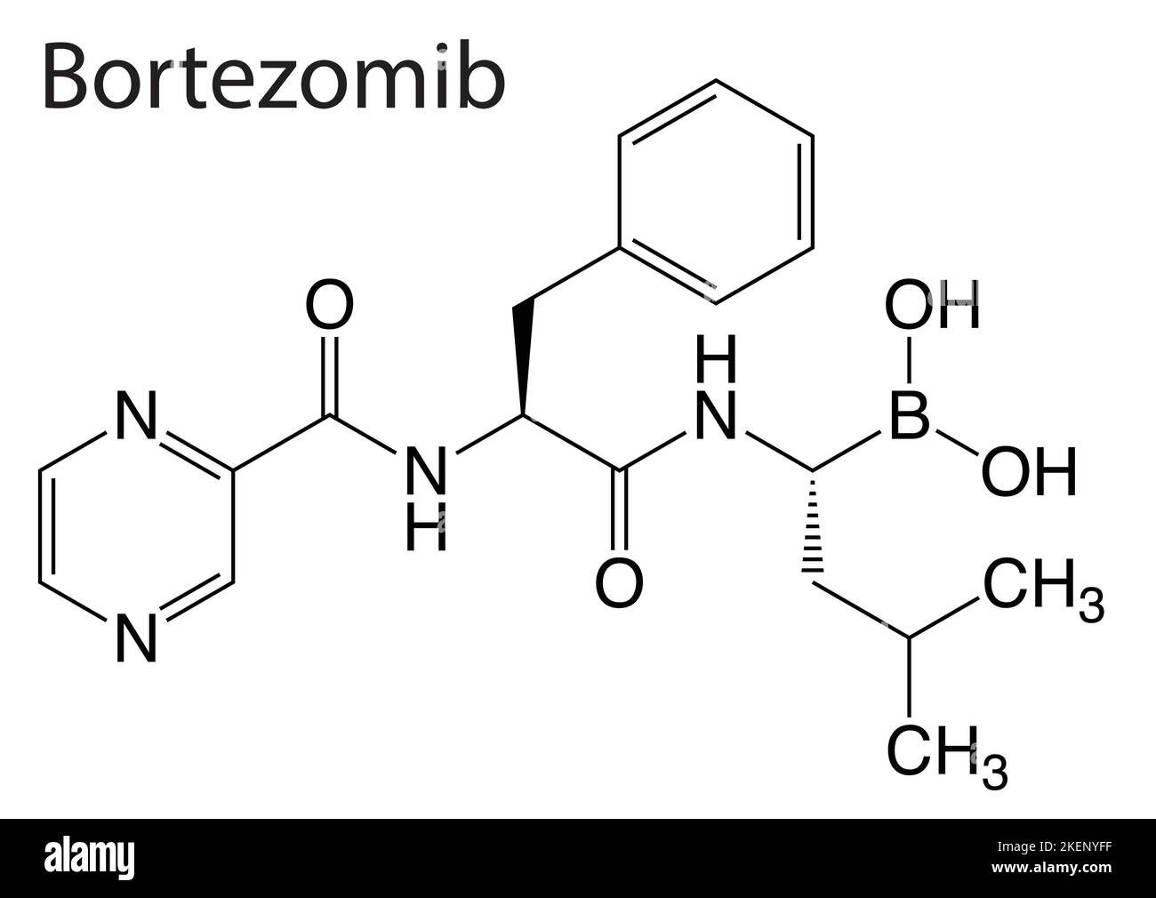 The skeletal formula of Bortezomib on white background Stock Vector