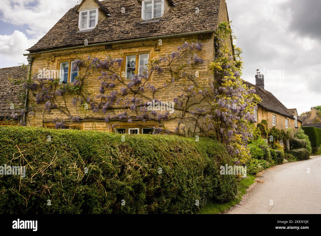 Wisteria vine covered stone country house in Broadwell, England in the Cotswolds district Stock