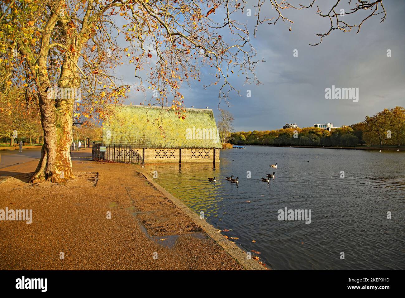 hyde-park-autumn-colours-hi-res-stock-photography-and-images-alamy