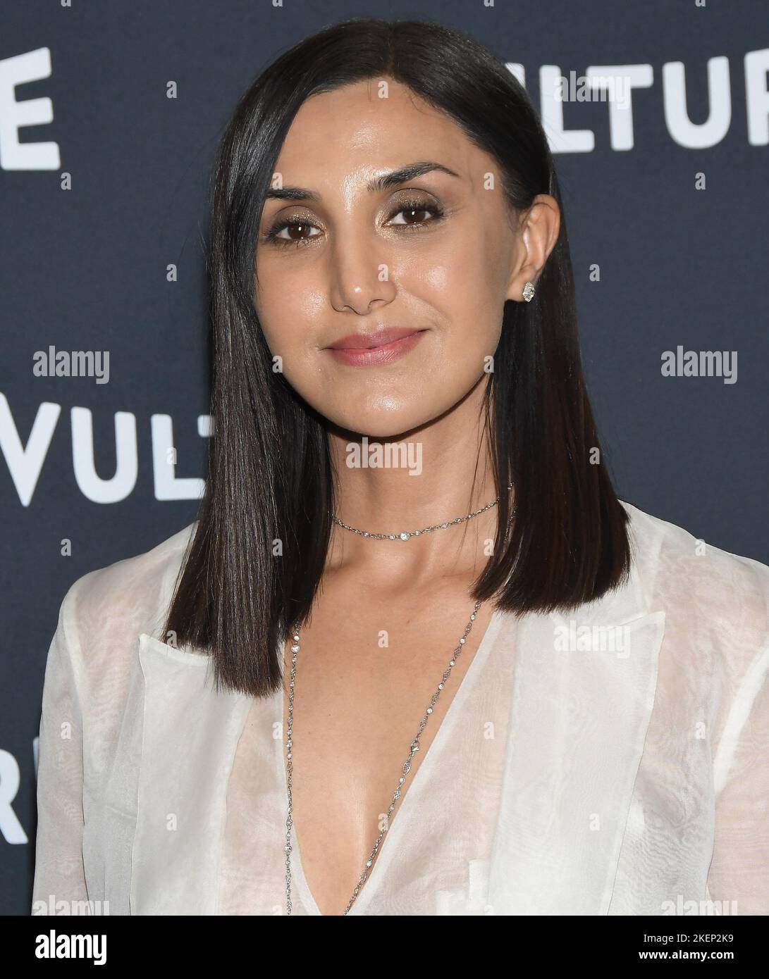 Los Angeles, USA. 13th Nov, 2022. Narges Rashidi arrives at the Vulture