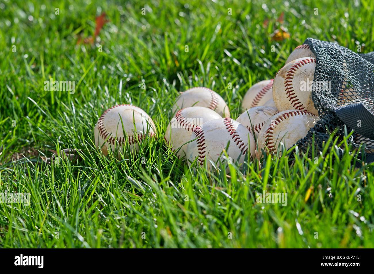 Baseballs spilling out of a bag in the grass Stock Photo Alamy