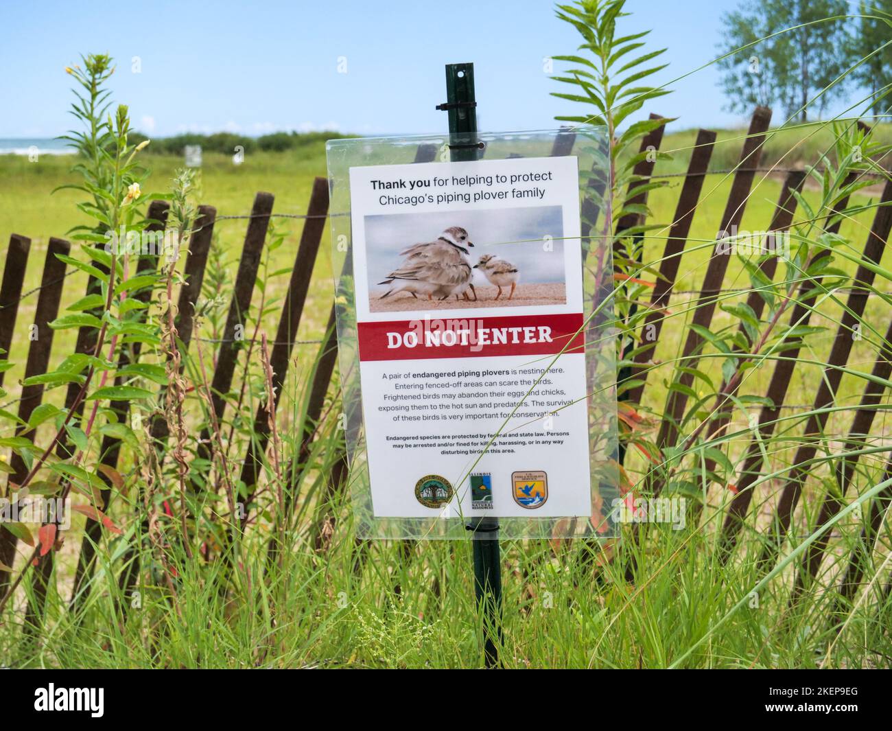 Do Not Enter sign at threatened species, piping plover nesting area. Montrose Beach, Chicago, Illinois. Stock Photo