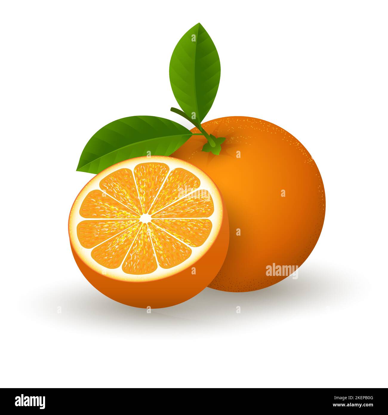 Realistic orange fruit Stock Vector