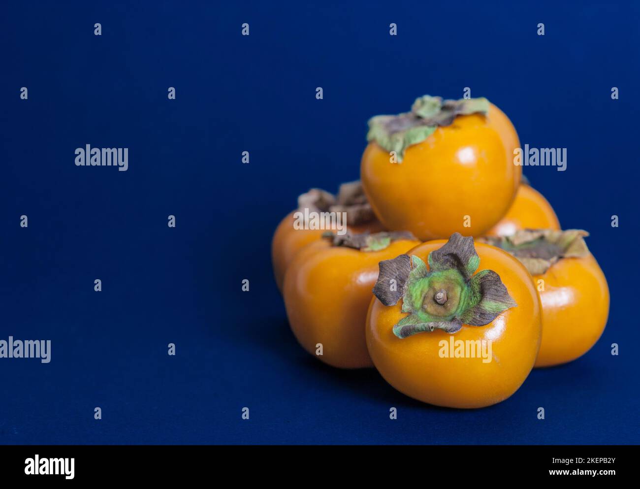 Japanese Persimmon, Kaki (Diospyros kaki) Stock Photo