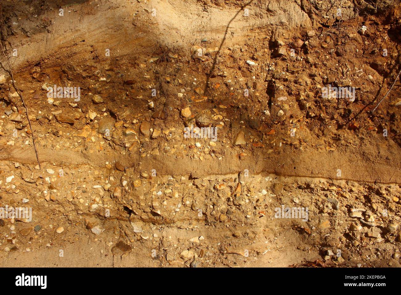 Morainic deposits of stones and pebbles in Quaternary sand background ...