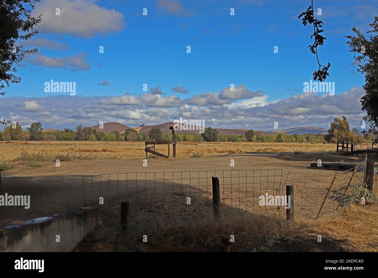 Oak Tree Preserve Stock Photo Alamy