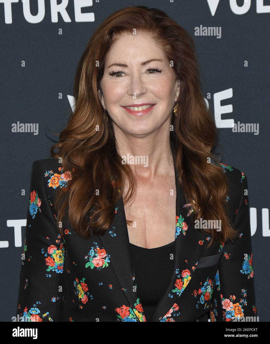 Los Angeles, USA. 13th Nov, 2022. Dana Delany arrives at the Vulture 