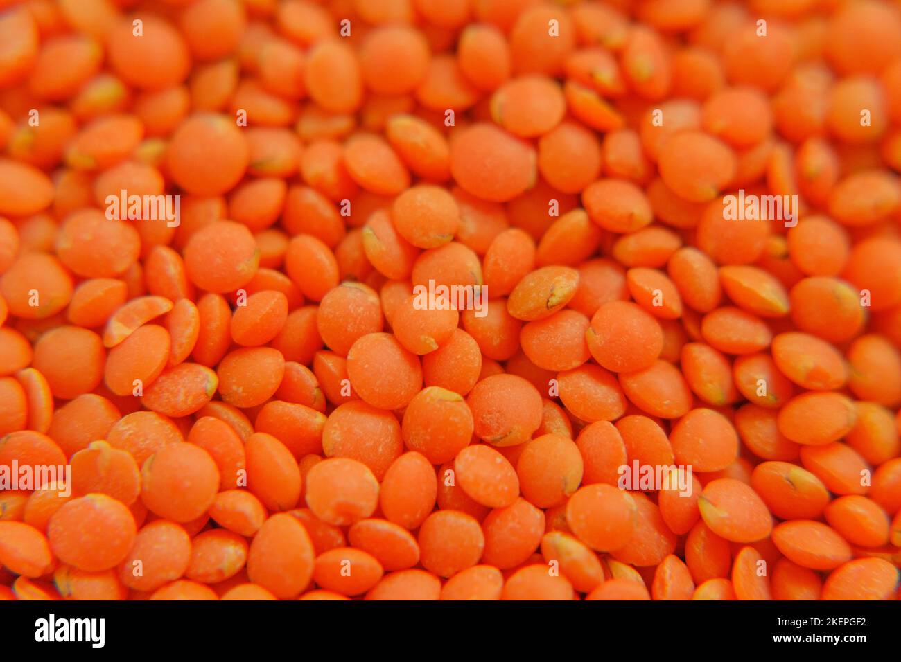 lentil grits closeup.lentil groats background.Cereals and legumes