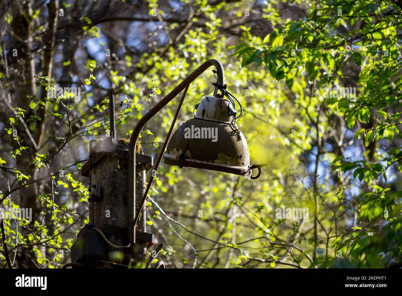 Old non-working lamppost in the forest, rusty metal Stock Photo