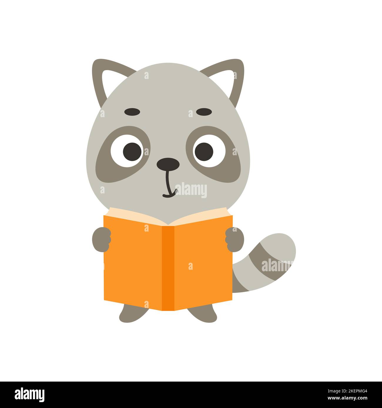 Cute little raccoon reading book on white background. Cartoon animal