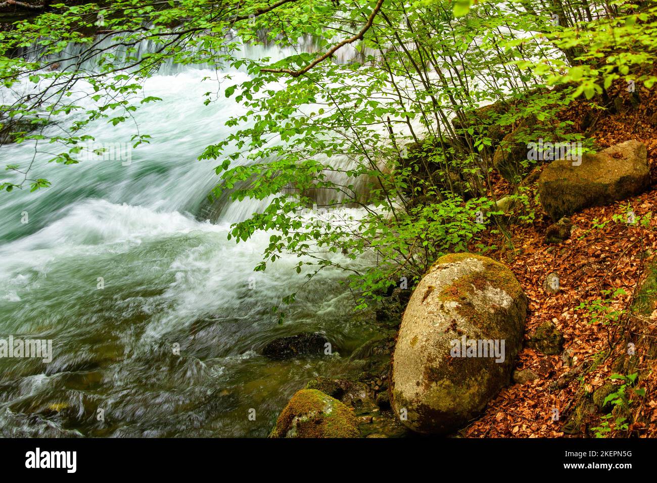 river in mountains, wonderful springtime scenery Stock Photo - Alamy