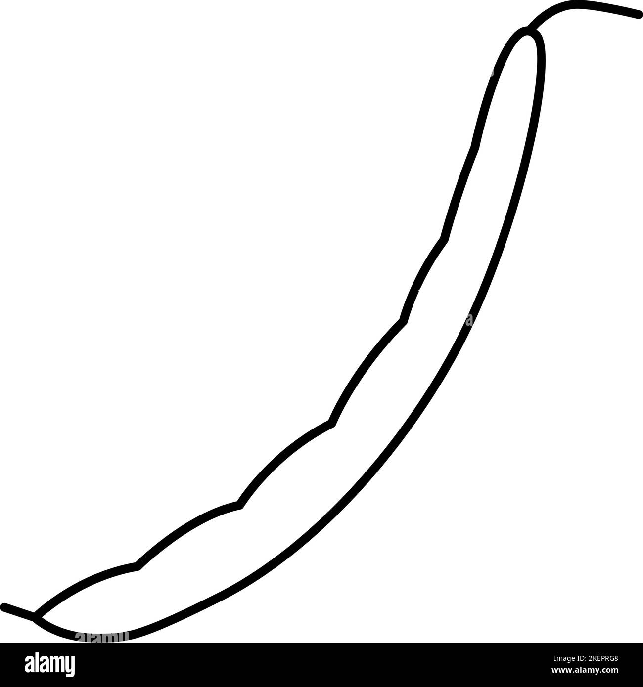 green bean pod line icon vector illustration Stock Vector Image & Art