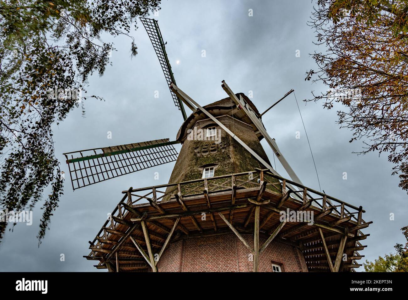 The upper part of a windmill taken from the frog's perspective from the side, showing part of the front and rear mill. The leaves of the adjacent tree Stock Photo
