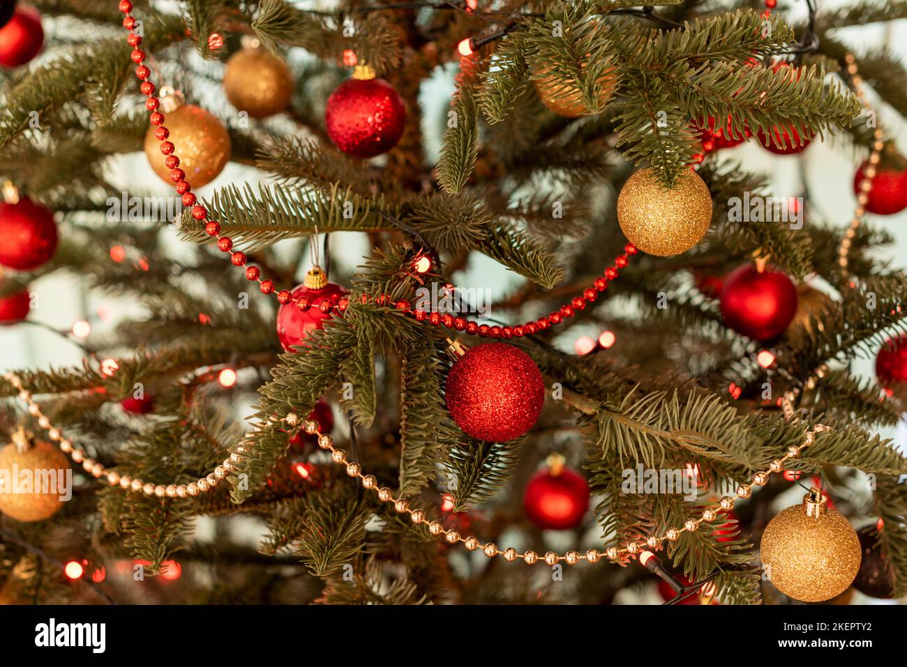 Part of a Christmas tree decorated with lights and red and gold balls Stock Photo