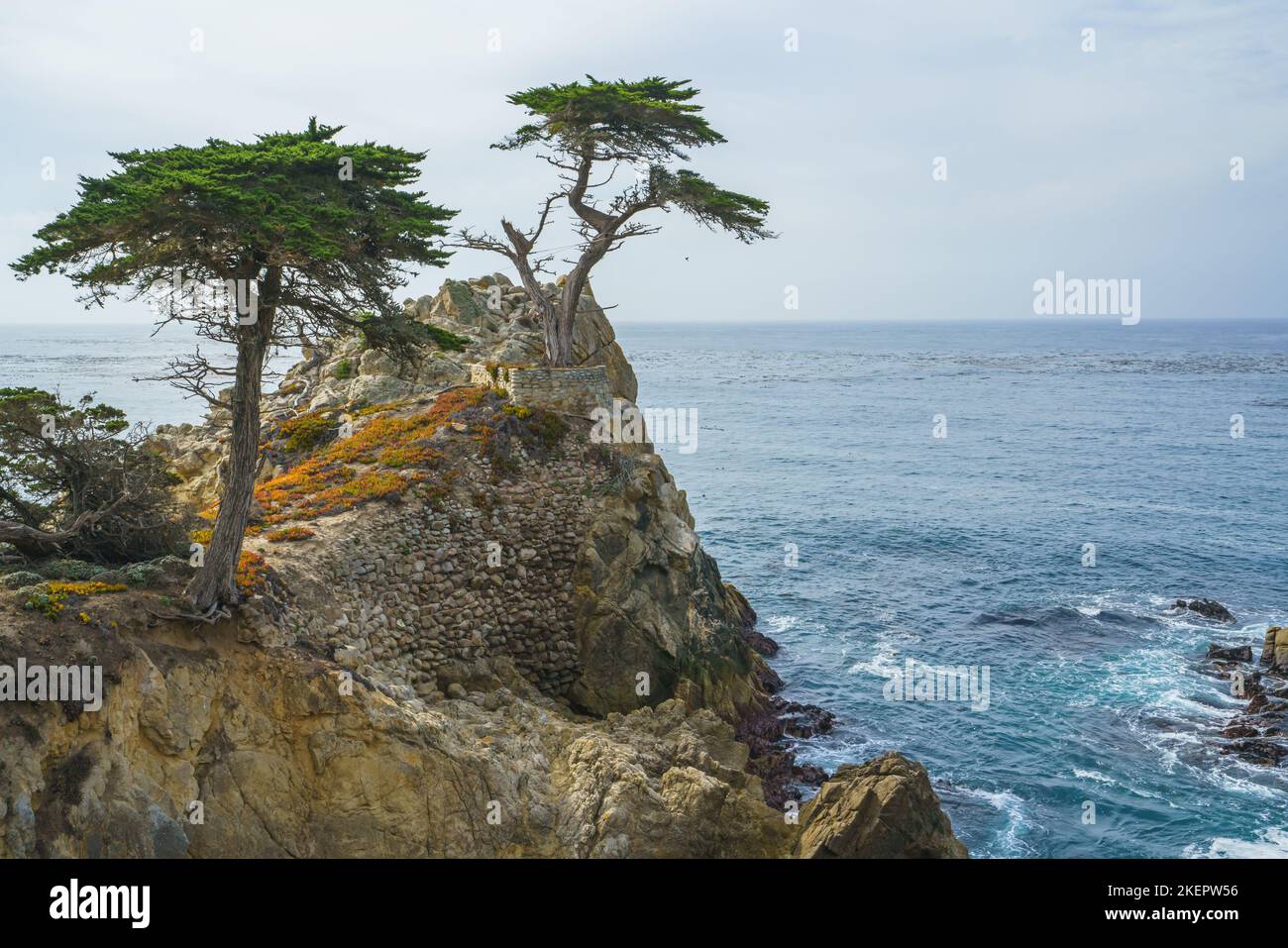The Lone Cypress on a Rocky Coast. 17 Mile Drive, Pebble Beach, Monterey Bay, California Central Coast Stock Photo