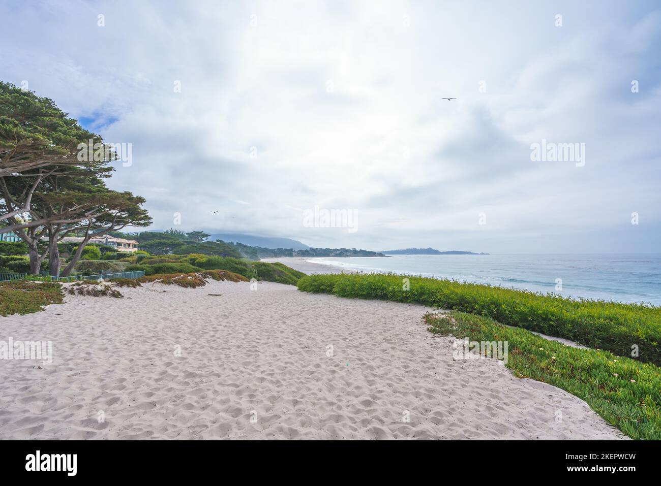 Carmel beach,  a long, wide, white sand beach. Carmel Beach is one of the most iconic spots on California's Central Coast Stock Photo