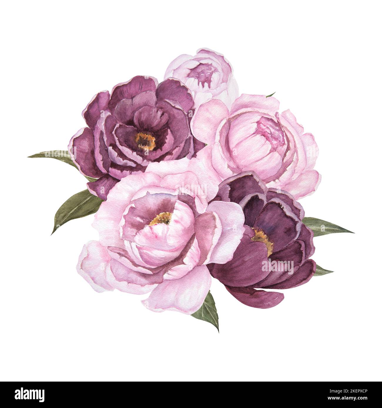 Flower watercolor illustration of peonies isolated, bouquet of flowers ...