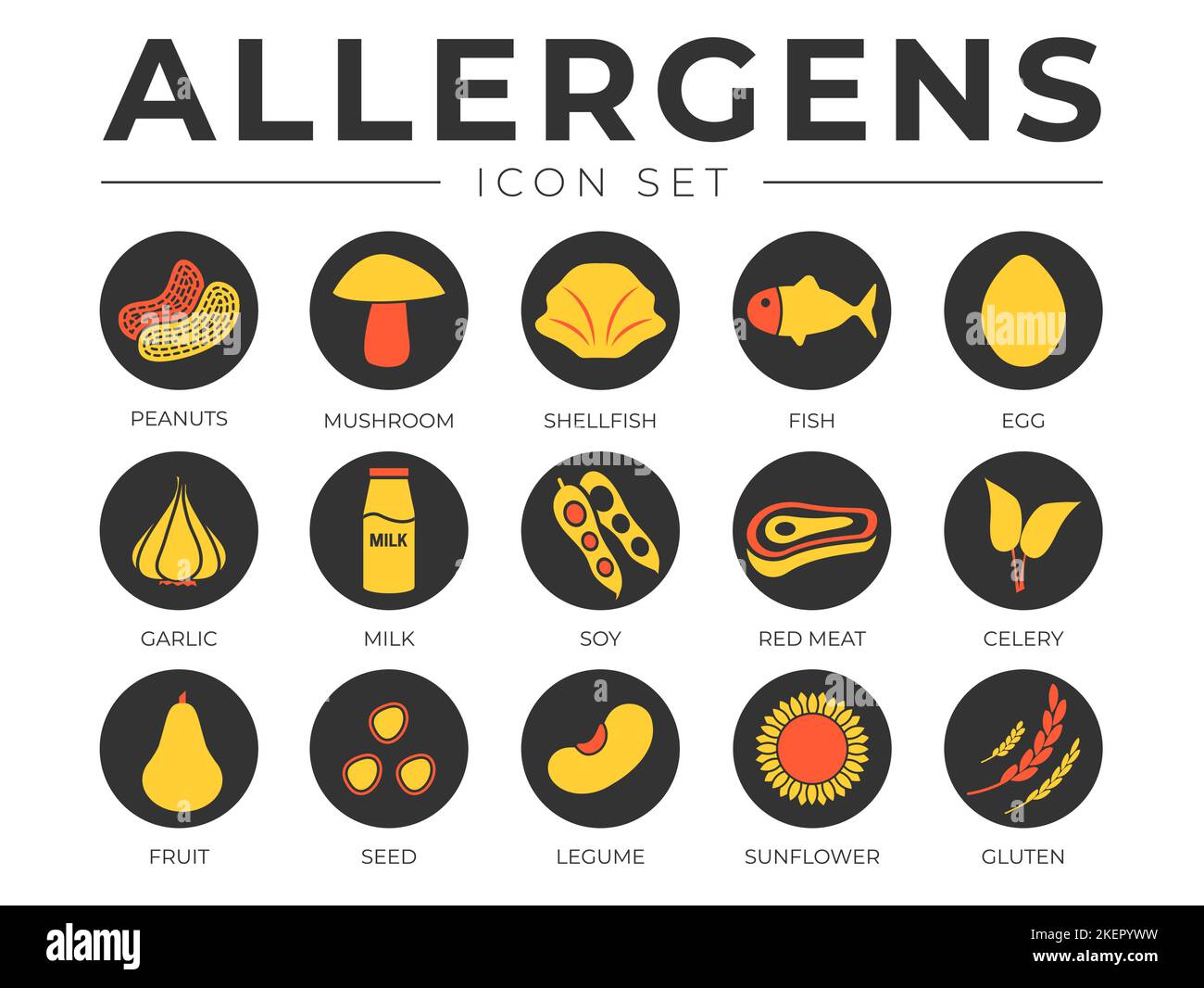 Black Colorful Allergens Icon Set. Peanuts, Mushroom, Shellfish, Fish, Egg, Garlic, Milk, Soy Meat, Celery, Fruit, Seed, Legume and Sunflower Gluten A Stock Vector