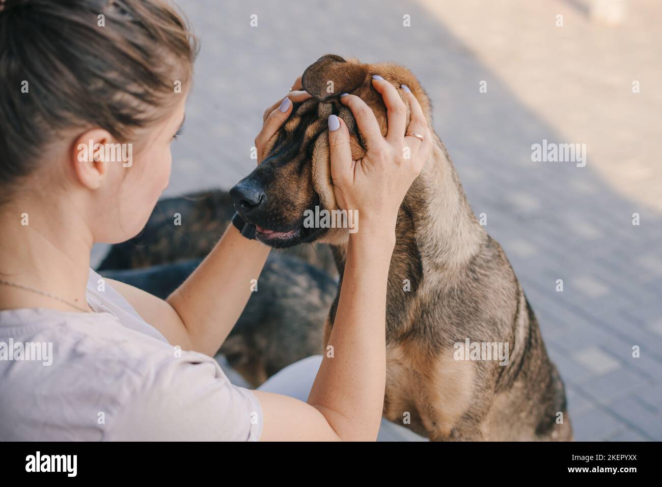 Woman cuddling dog child hi-res stock photography and images - Alamy