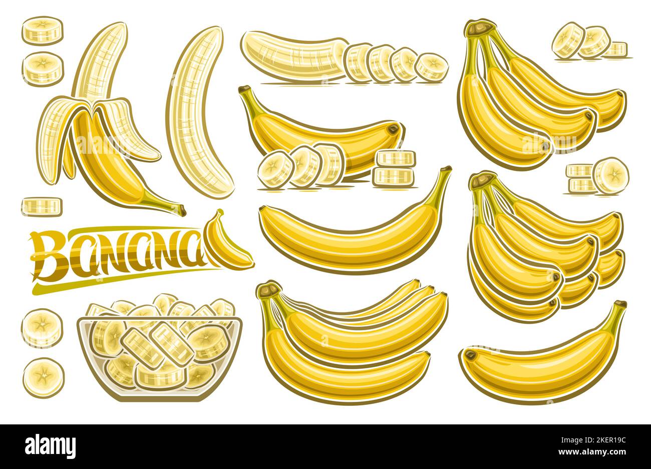 Vector Banana Set, horizontal poster with lot collection of cut out illustrations fruit still life, chopped bananas in transparent dish, group of many Stock Vector