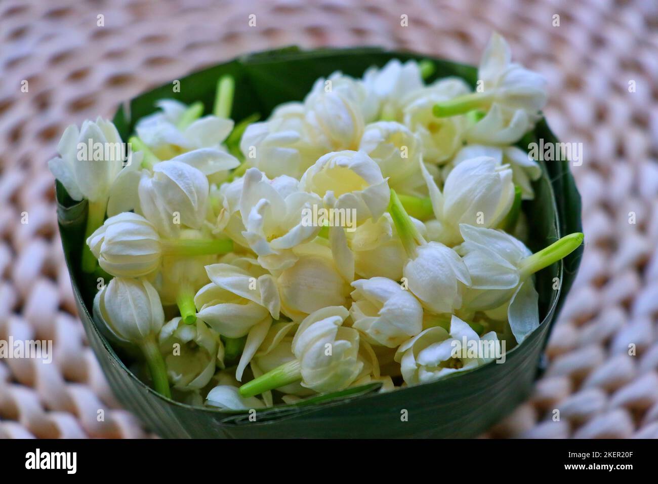 jasmine flowers in Thai style folded banana leaf bowl /Thai perfumery
