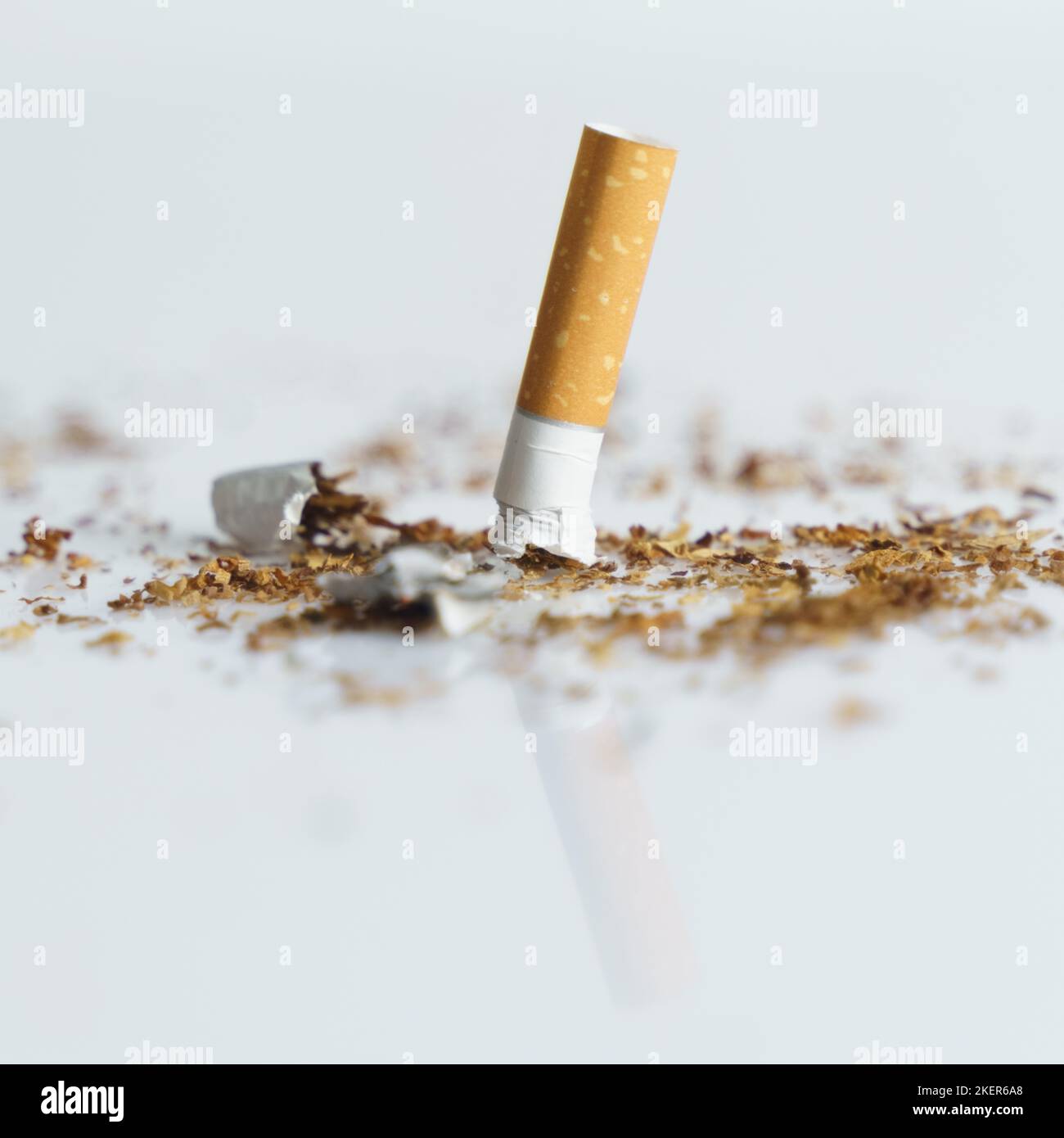 The concept of medicine is the fight against smoking. The cigarette butt is  quenched among tobacco on a white reflective surface Stock Photo - Alamy