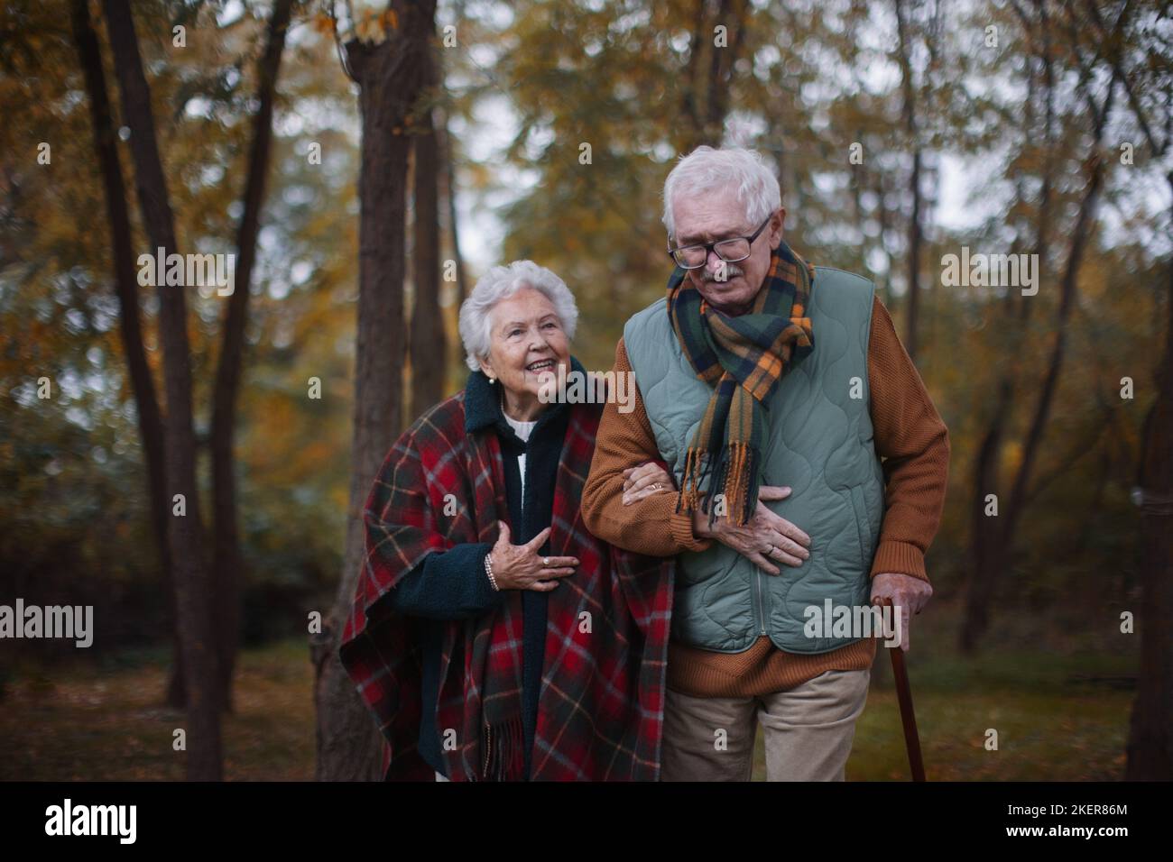 Senior couple walking together in autumn forest Stock Photo - Alamy