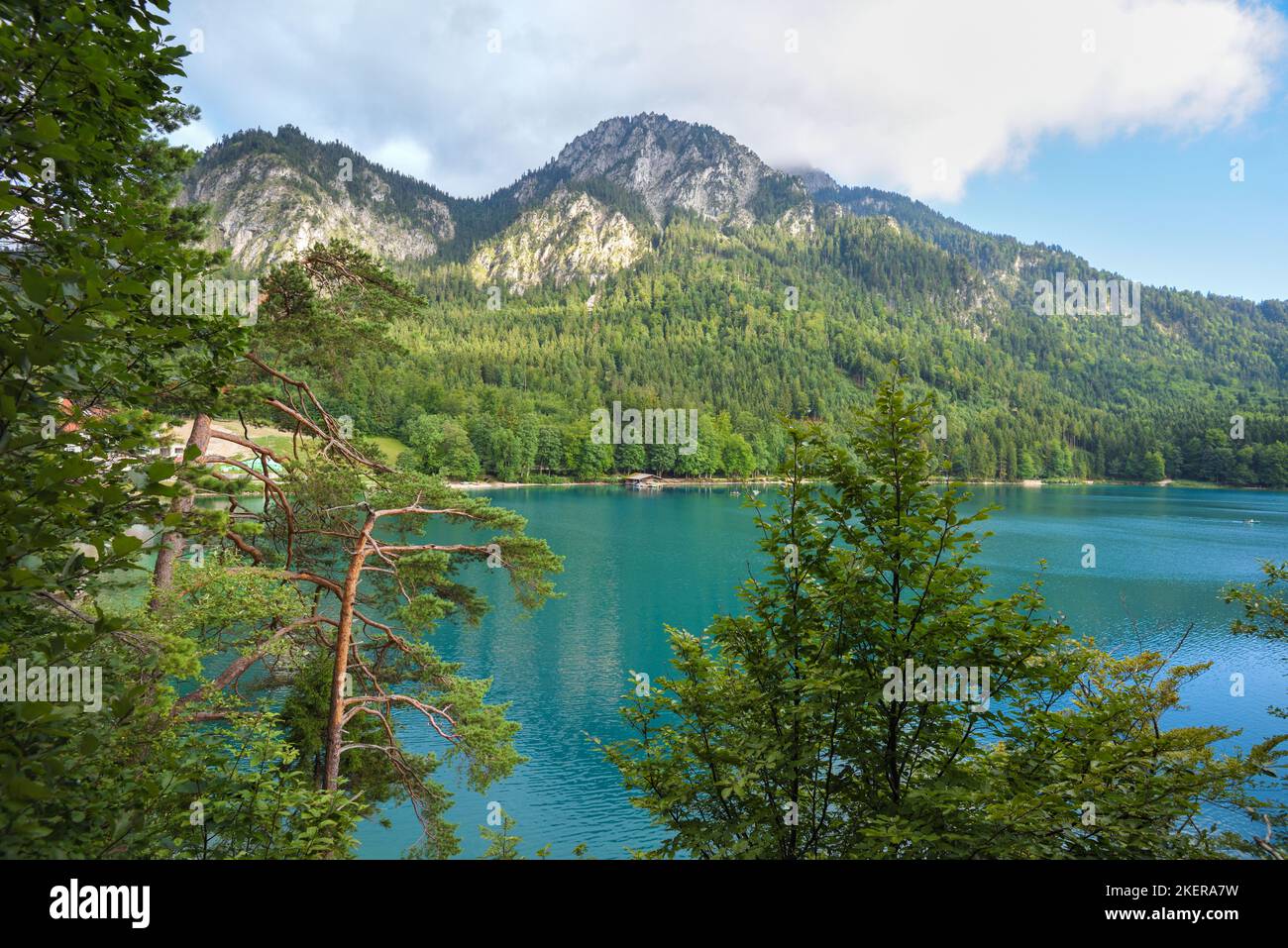 Gorgeous emerald-green lake Alpsee in the German Alps near castles ...