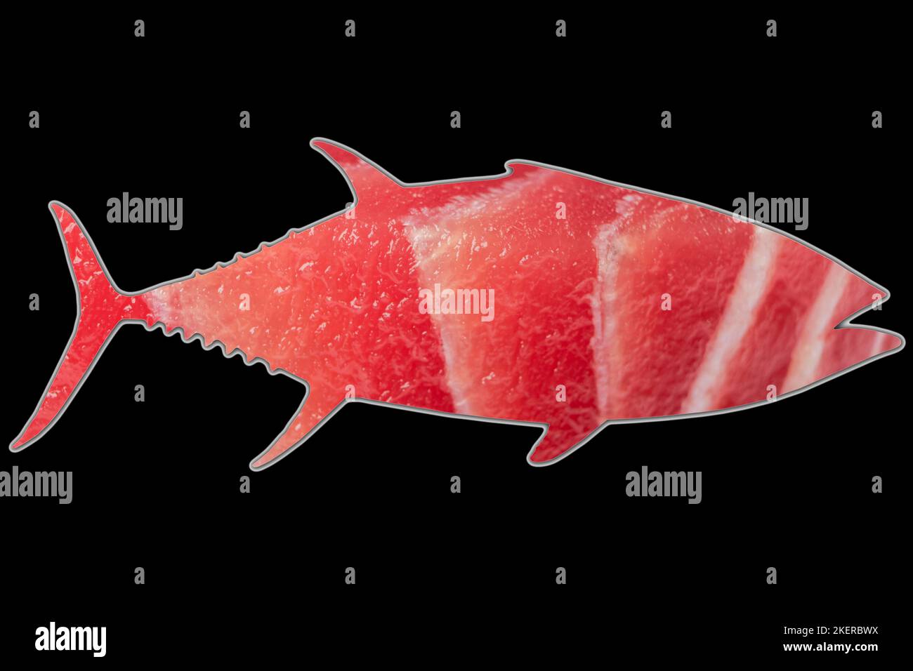 Fishshaped tuna fillett isolated on black background. Yellow fin tuna