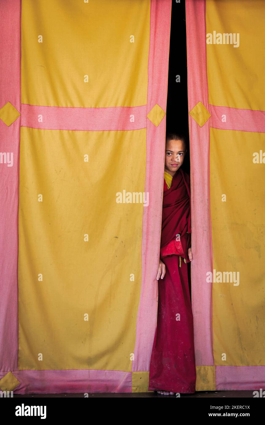 Young monk looking out from behind a curtain, Amitabha Monastery, Kathmandu Valley, Kathmandu, Nepal Stock Photo