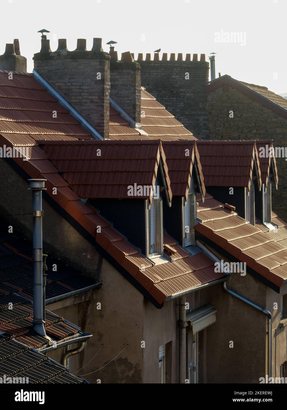 Roofs, Metz, Moselle, Lorraine, Grand Est region, France Stock Photo