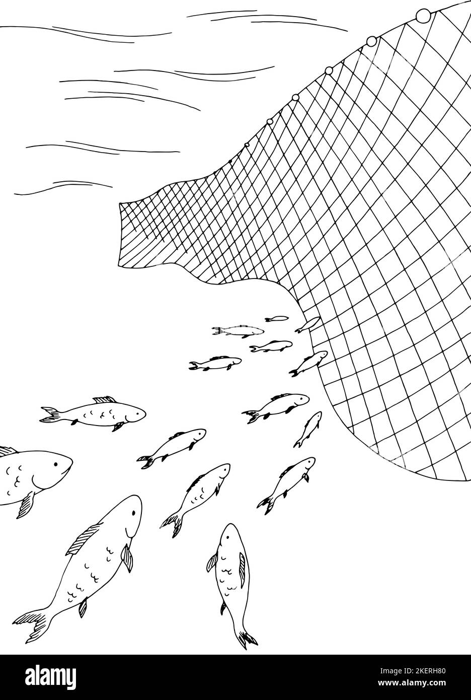 School of fish moving into the fishing net graphic sea black white