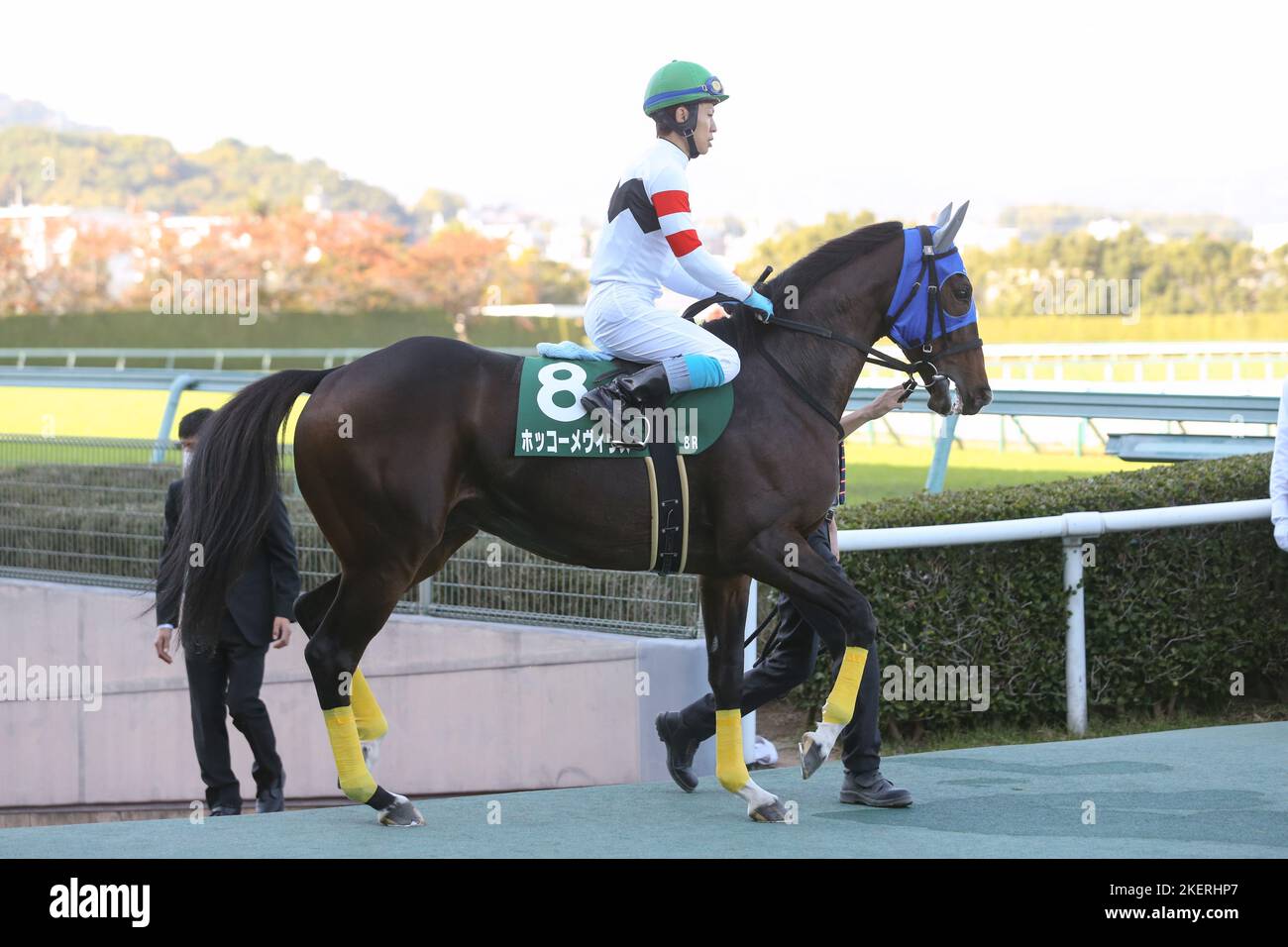 Hyogo, Japan. 12th Nov, 2022. Hokko Mevius and Yu Kuroiwa before the Kyoto Jump Stakes at Hanshin Racecourse in Hyogo, Japan, November 12, 2022. Credit: Eiichi Yamane/AFLO/Alamy Live News Stock Photo