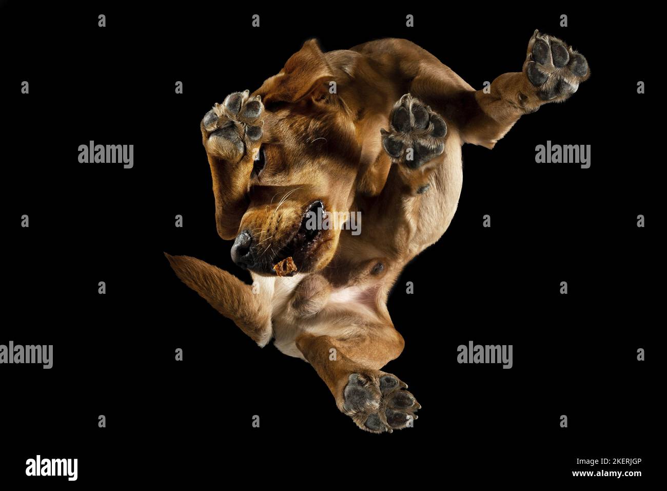 From below black male hi-res stock photography and images - Alamy