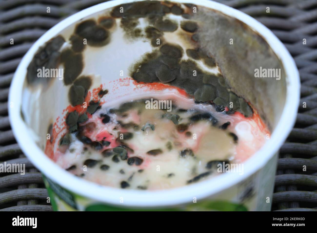 spoiled sour cream in a plastic container covered with different kinds of mold Stock Photo