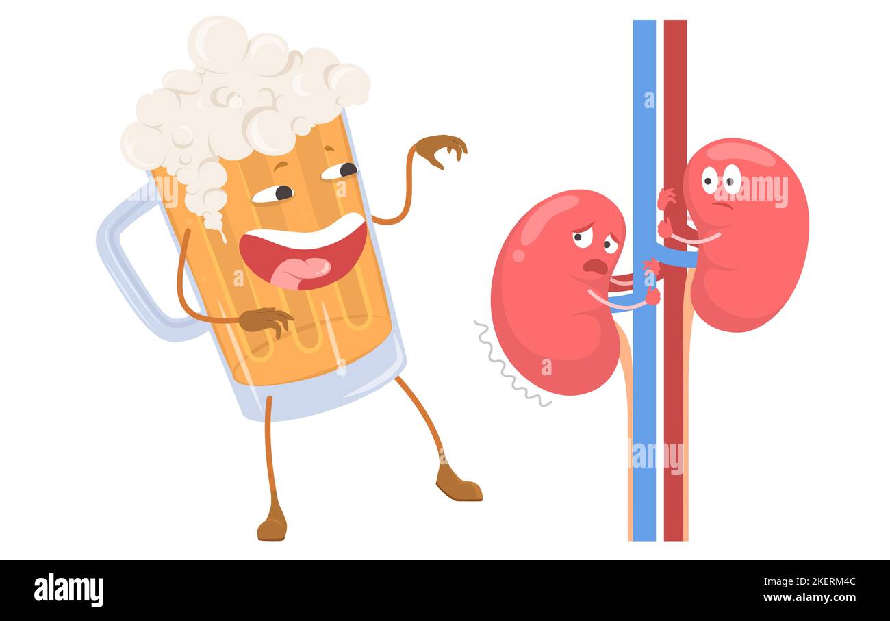 Kidney suffering from alcohol beer drink vector illustration. Human