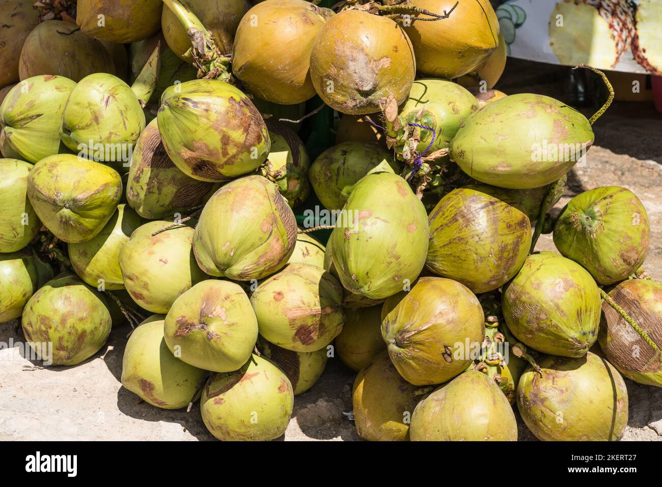 Green coconuts for coconut milk drinks at Hierve el Agua, Mexico Stock