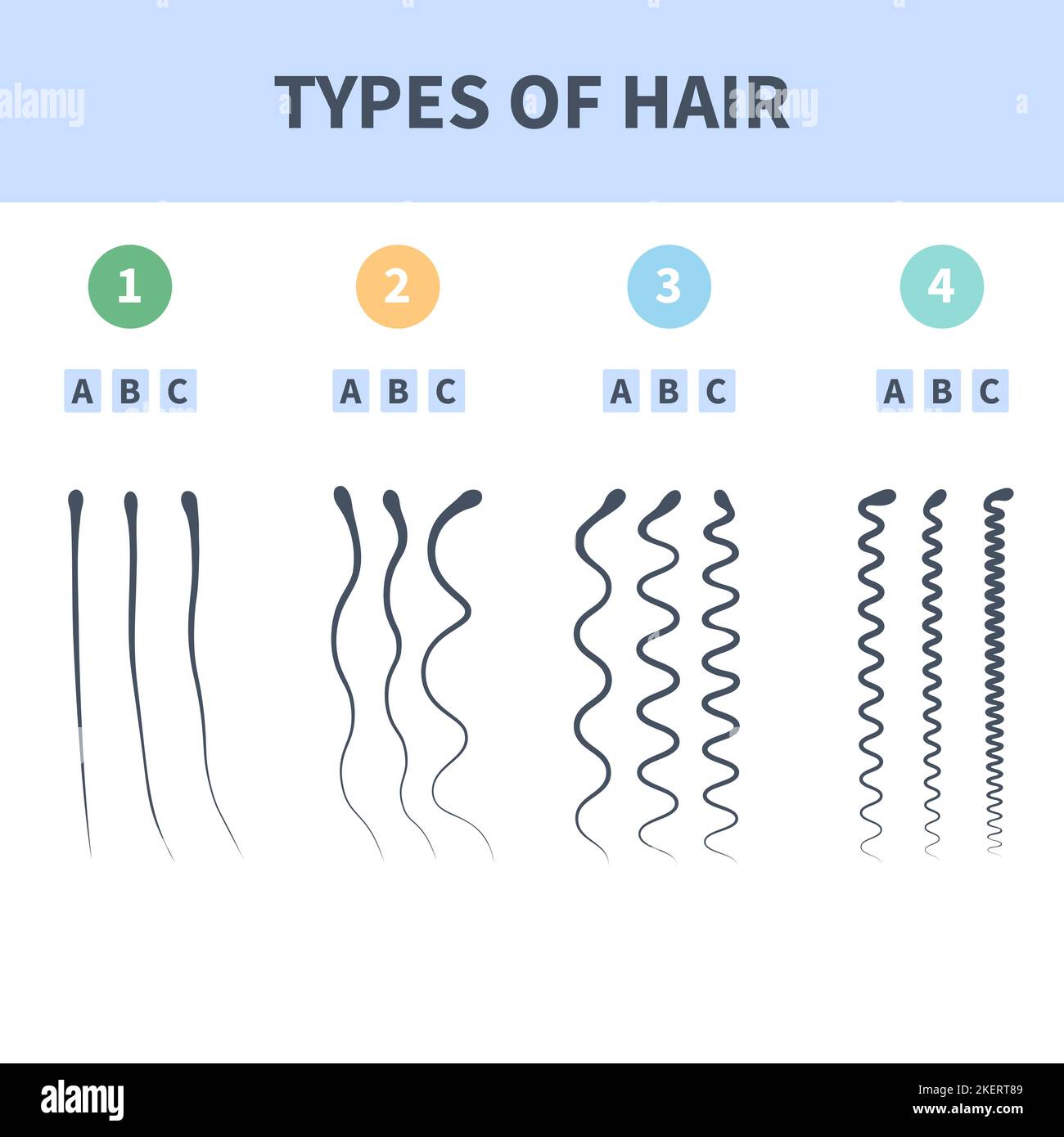 Hair types chart set of strands growth patterns Stock Vector Image & Art - Alamy Hair types chart set of strands growth patterns Stock Vector Image & Art - Alamy