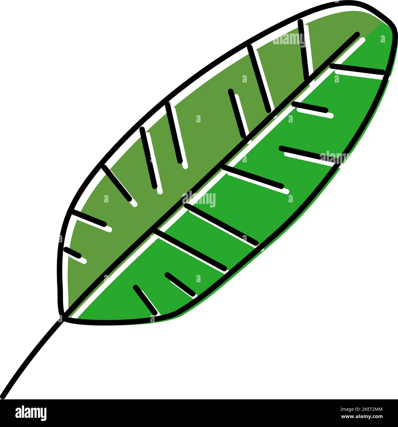 banana tropical leaf color icon vector illustration Stock Vector Image ...
