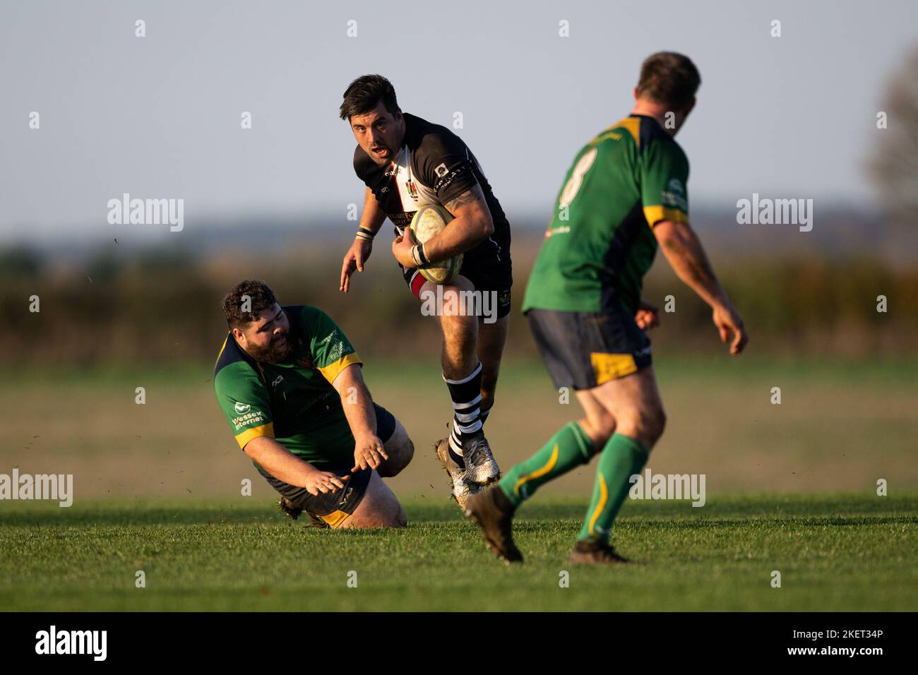 Rugby players in action. Dorset, England, United Kingdom. Stock Photo