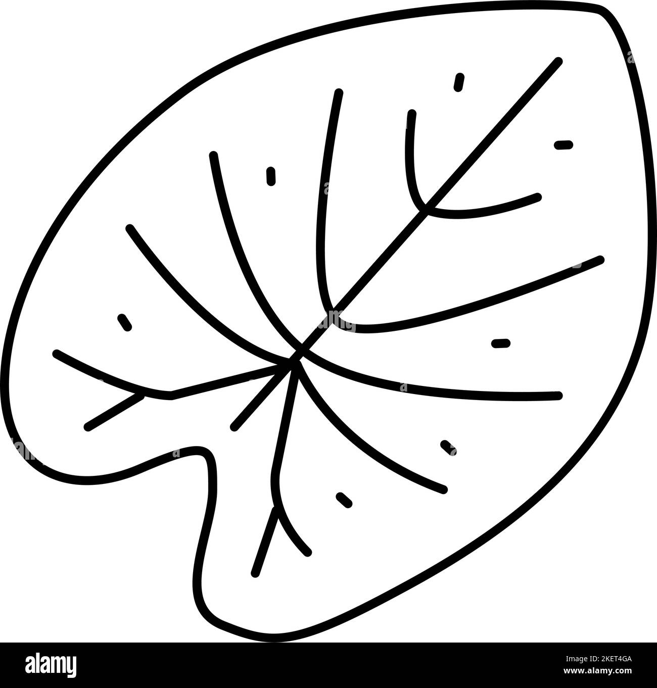 once-you-know-what-plants-grow-on-slopes-you-can-use-this-knowledge-to