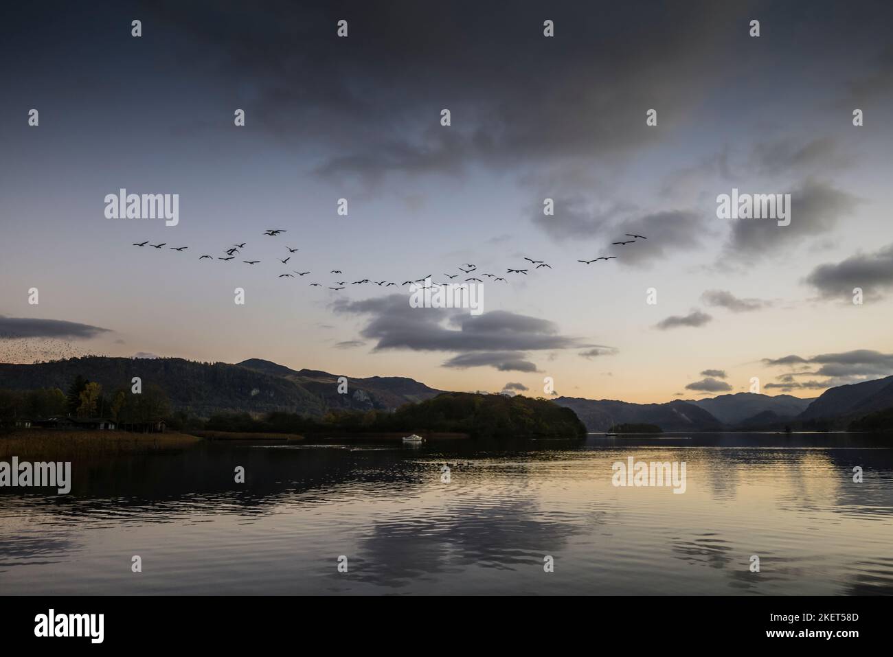 Canada Geese flying over Derwentwater in the evening light, Keswick, English Lake District. Stock Photo