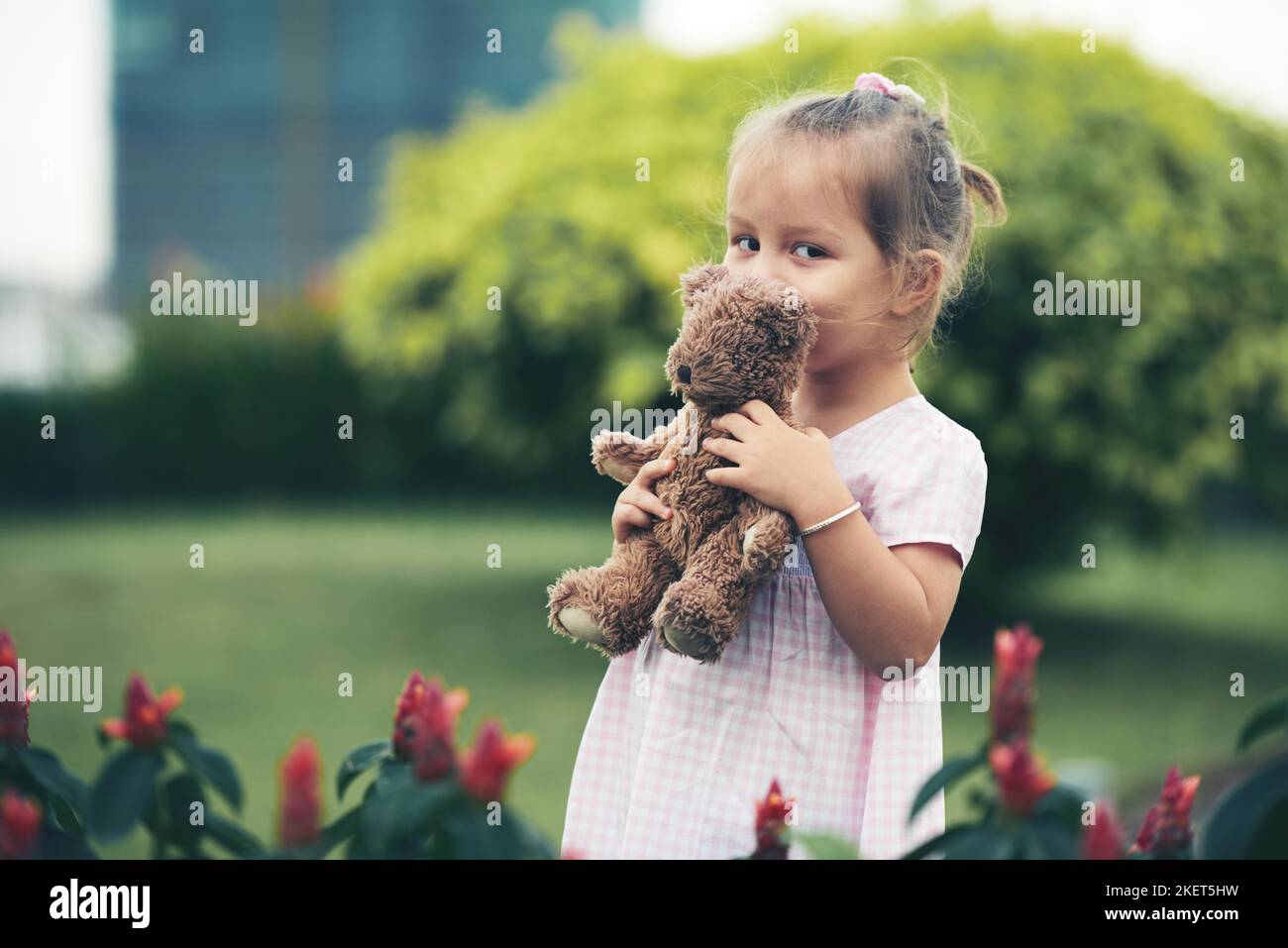 Little girl teddy bear standing hi res stock photography and